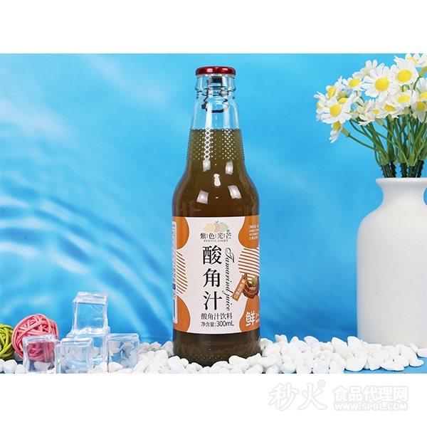 紫色光芒酸角汁饮料300ml