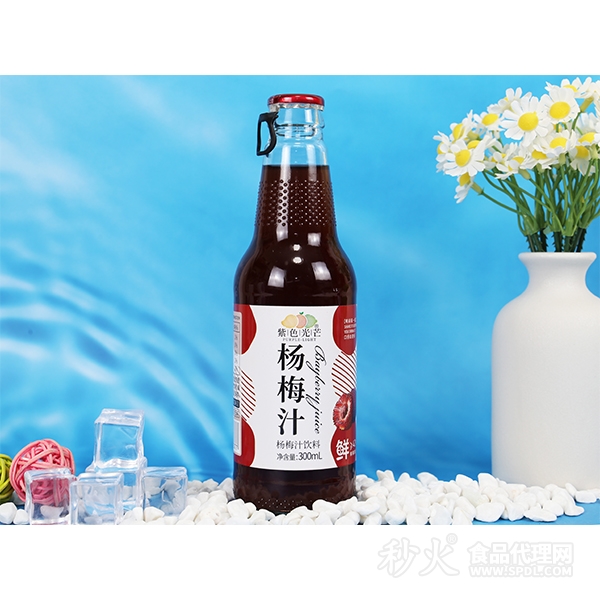 紫色光芒杨梅汁饮料300ml