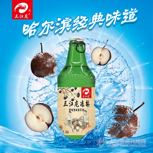三江龙大白梨果味型碳酸饮料360ml