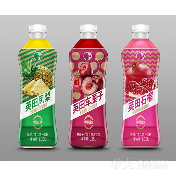 英田复合果汁饮料组合1.25L