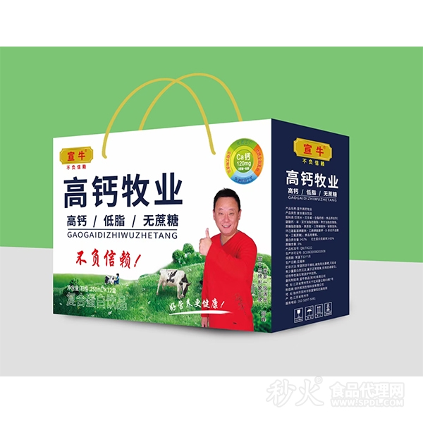 宣牛高鈣牧業(yè)復(fù)合蛋白飲品禮盒裝