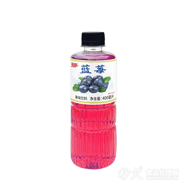 欢臣蓝莓果味饮料400ml