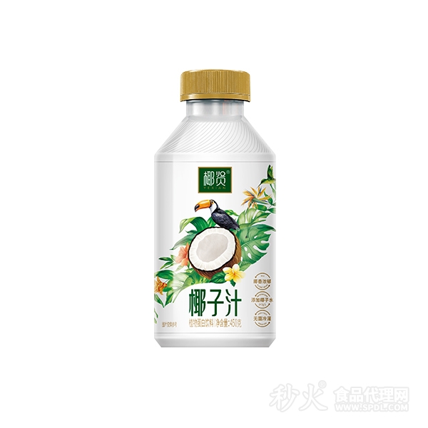 椰贤椰子汁植物蛋白饮料450g