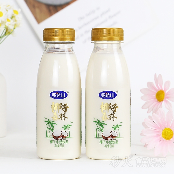 完達(dá)山椰子牛奶300ml