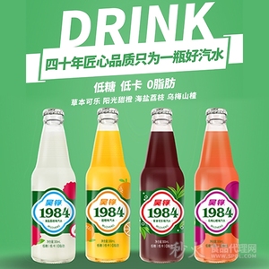 吴铮1984果汁汽水组合300ml