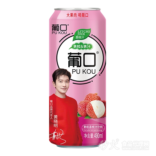 葡口果粒荔枝汁饮料490ml