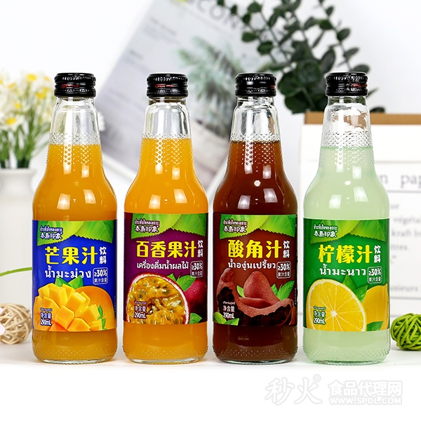 秦岛印象果汁饮料组合290ml