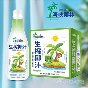 海峡椰林生榨椰汁植物蛋白饮料1.25kg