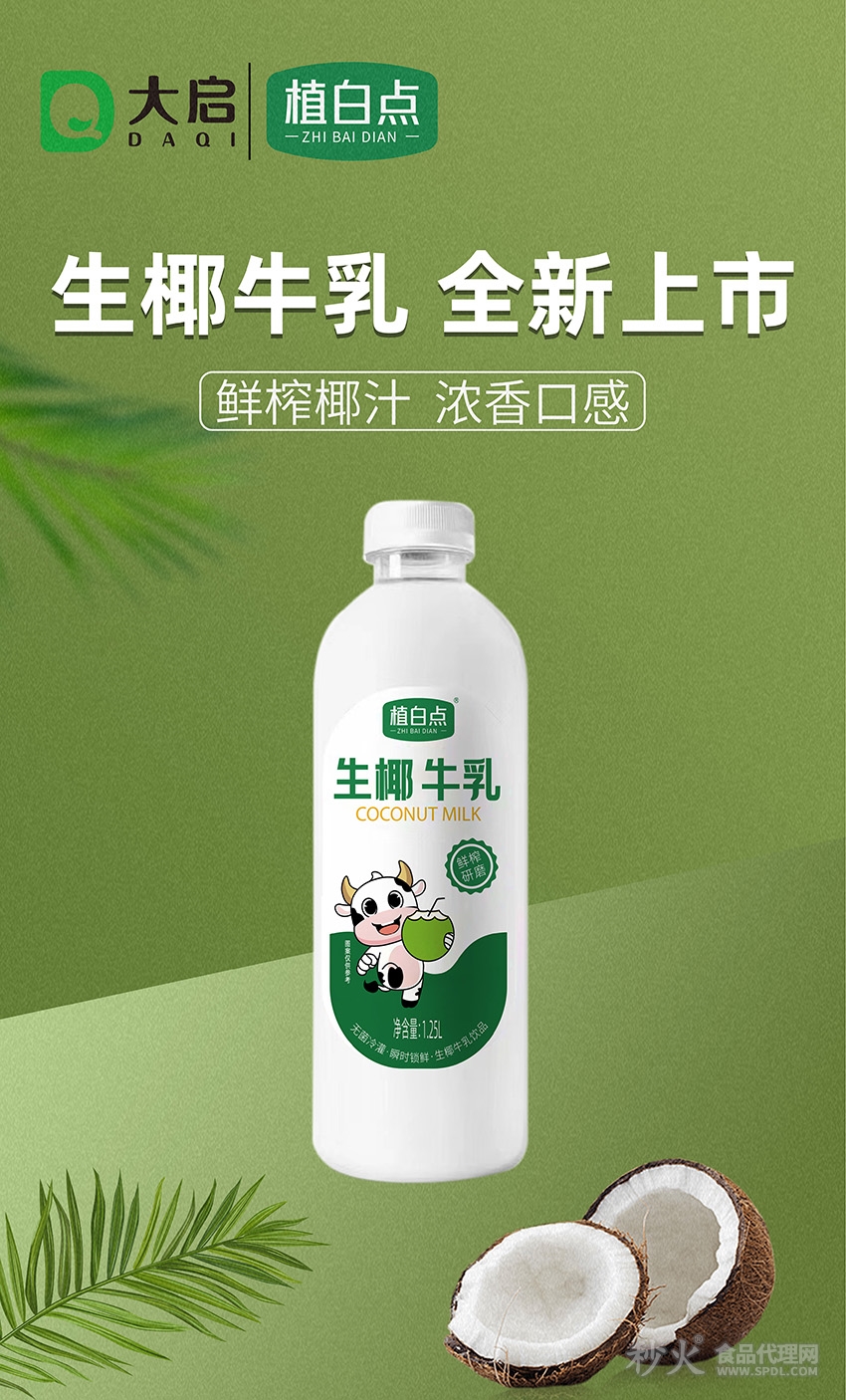 植白点生椰牛乳1.25L 5