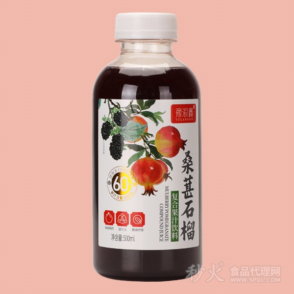 豫浪鑫桑葚石榴果汁饮品500ml