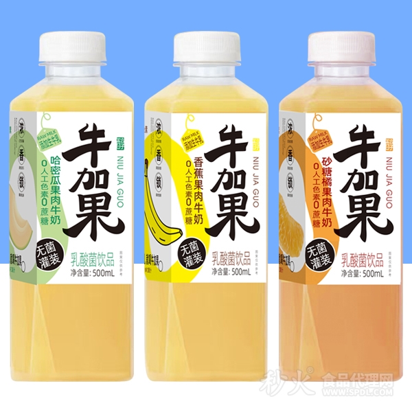 牛加果果肉牛奶饮品500ml