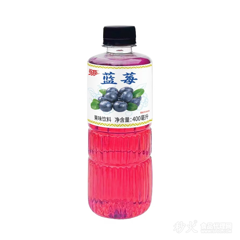 欢臣蓝莓果味饮料400ml