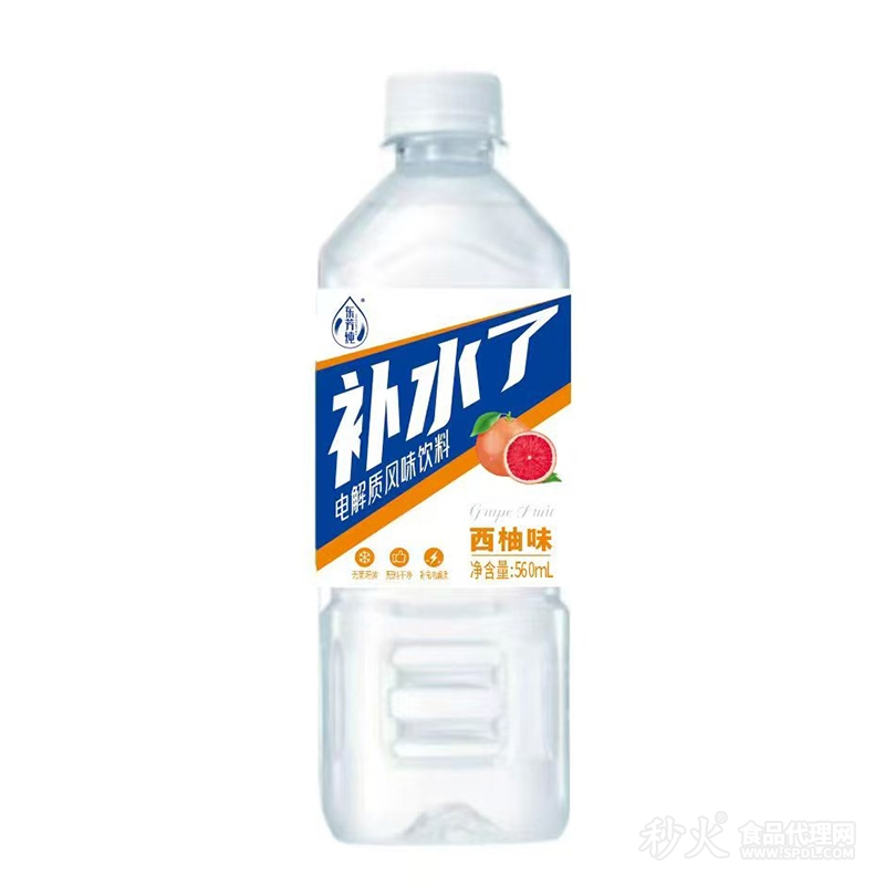 东芳纯补水了电解质风味饮料西柚味560ml