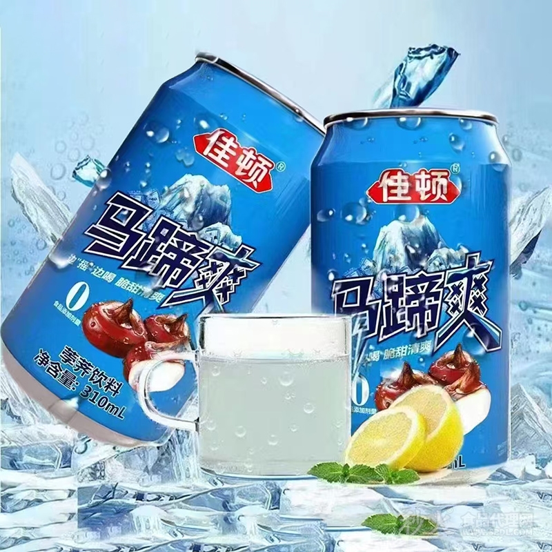 佳顿马蹄爽荸荠饮料310ml