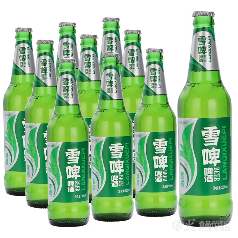 雪啤啤酒500mlx9瓶