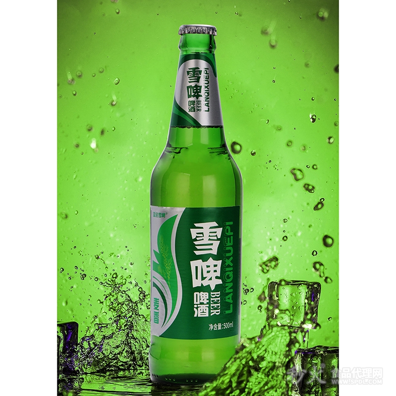 雪啤啤酒500ml