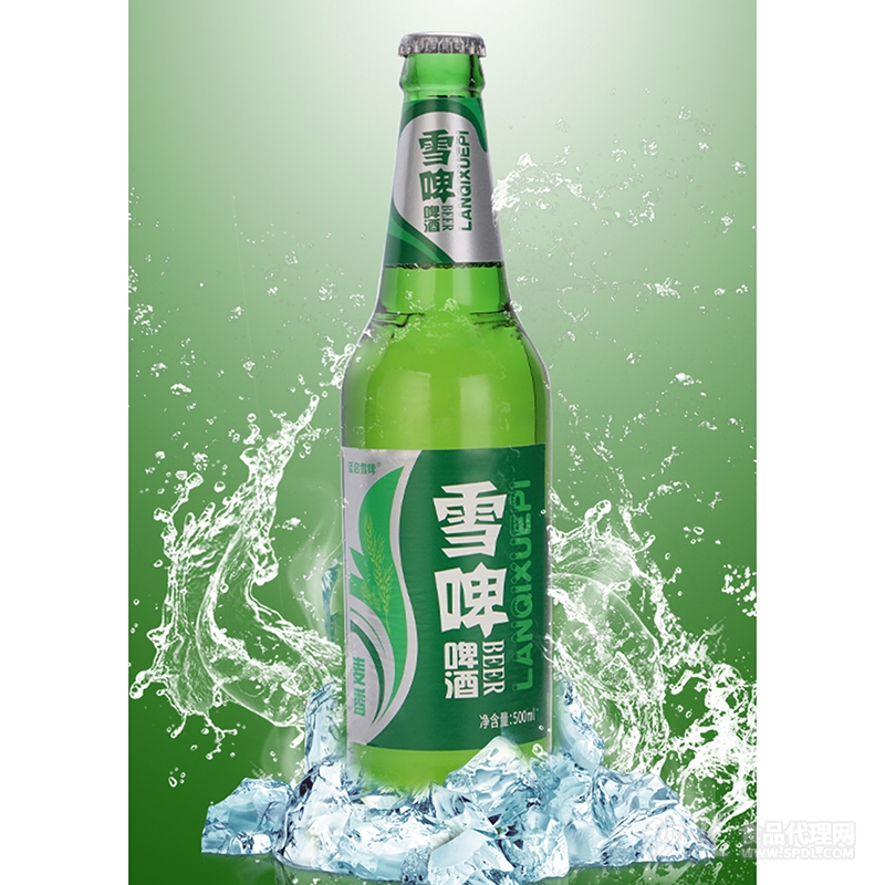 雪啤啤酒500ml