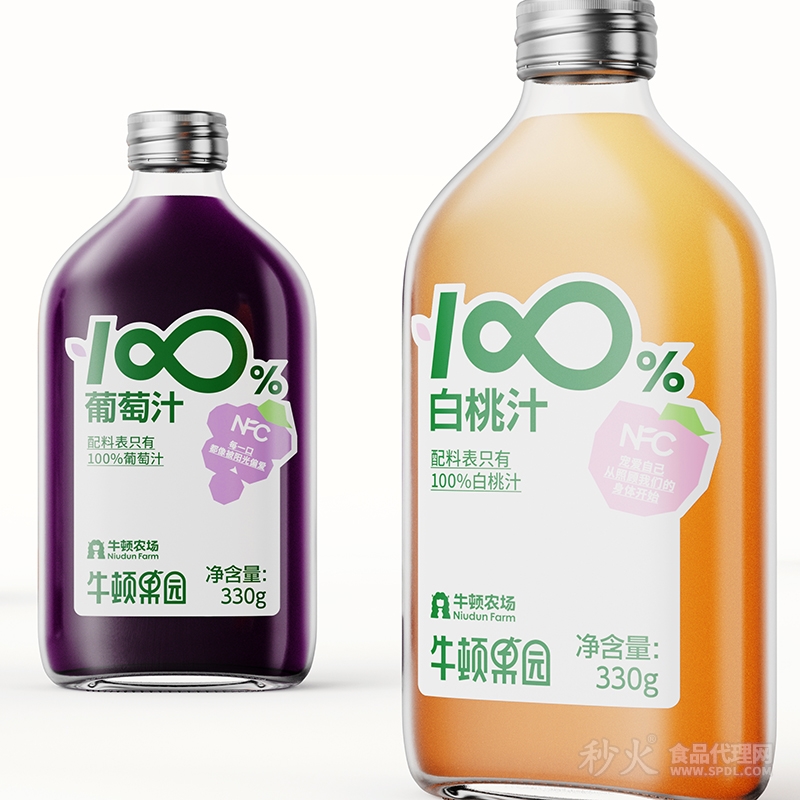 牛顿果园100%果汁玻璃瓶300g