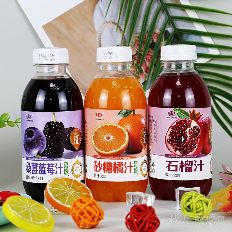 中博果汁饮料500ml