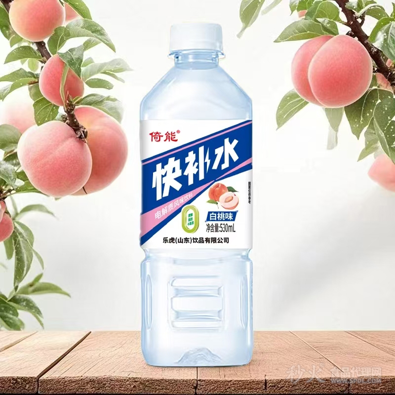 倚能快补水电解质风味饮料白桃味530ml