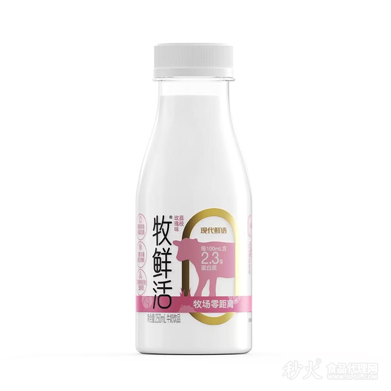 现代鲜语牧鲜活荔枝玫瑰味发酵酸奶饮品250ml