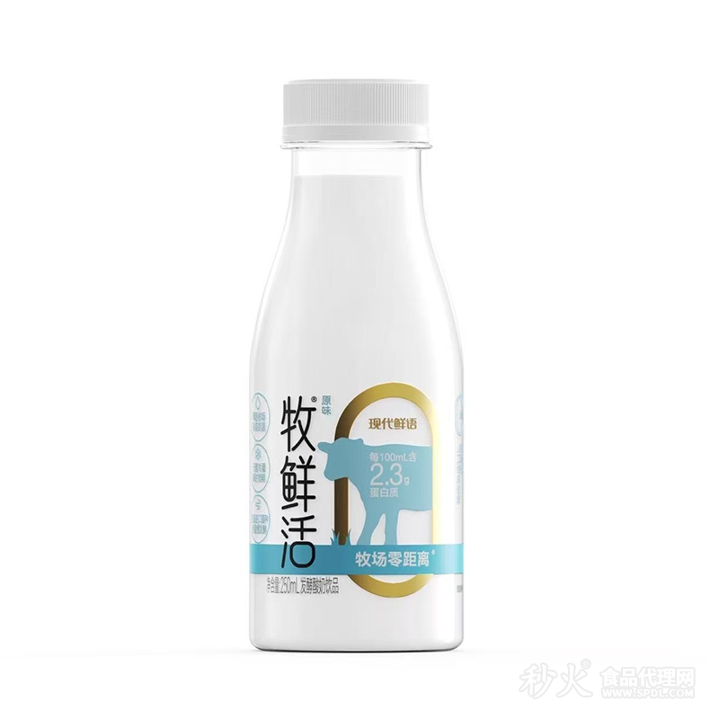 现代鲜语牧鲜活原味发酵酸奶饮品250ml