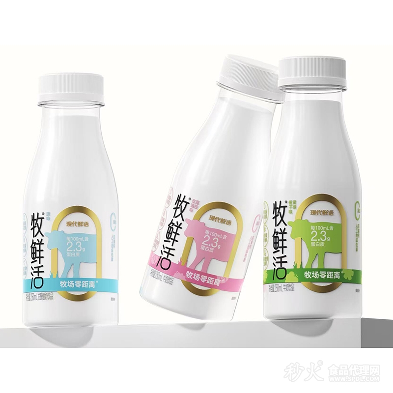 现代鲜语牧鲜活发酵酸奶饮品250ml